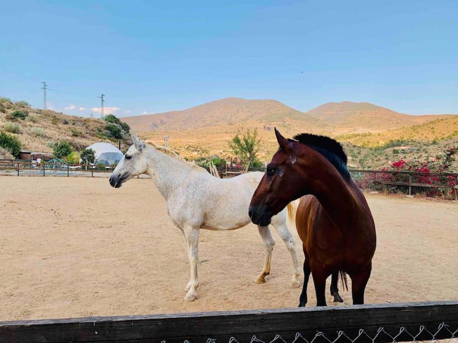 Casa Sierra, A Stunning Spanish Rural Retreat Vila